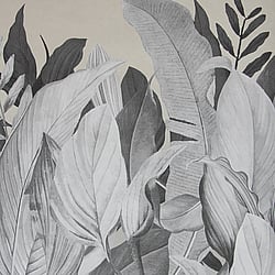 Galerie Wallcoverings Product Code: 18000 - Tropical Wallpaper Collection Galerie Wallcoverings Product Code 18000 - Tropical Wallpaper Collection - Almond Colours - Tropical Forest Design