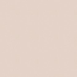 Galerie Wallcoverings Product Code: 31807 - New Textures Wallpaper Collection Galerie Wallcoverings Product Code 31807 - New Textures Wallpaper Collection - Baby Pink Colours - Textured Plain Design