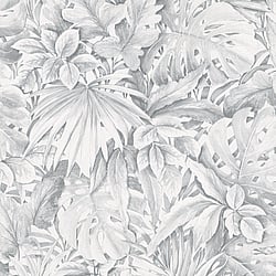 Galerie Wallcoverings Product Code: 33308 - Eden Wallpaper Collection Galerie Wallcoverings Product Code 33308 - Eden Wallpaper Collection -  Jungle Leaves Design