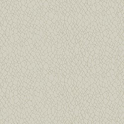 Galerie Wallcoverings Product Code: DWP0232-01 - Boutique Wallpaper Collection Galerie Wallcoverings Product Code DWP0232-01 - Boutique Wallpaper Collection - Cream Colours - Webbing Design