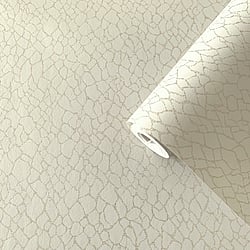Galerie Wallcoverings Product Code: DWP0232-01 - Boutique Wallpaper Collection Galerie Wallcoverings Product Code DWP0232-01 - Boutique Wallpaper Collection - Cream Colours - Webbing Design