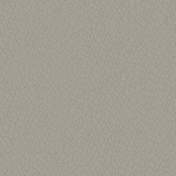 Galerie Wallcoverings Product Code: DWP0232-02 - Boutique Wallpaper Collection Galerie Wallcoverings Product Code DWP0232-02 - Boutique Wallpaper Collection - Beige Colours - Webbing Design