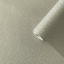 Galerie Wallcoverings Product Code: DWP0232-02 - Boutique Wallpaper Collection Galerie Wallcoverings Product Code DWP0232-02 - Boutique Wallpaper Collection - Beige Colours - Webbing Design