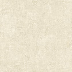 Galerie Wallcoverings Product Code: G78156 - Texture Fx Wallpaper Collection Galerie Wallcoverings Product Code G78156 - Texture Fx Wallpaper Collection - Beige Colours - 3D Plaster  Design
