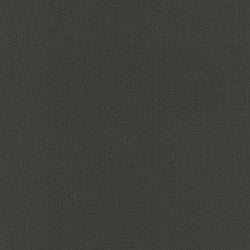 Galerie Wallcoverings Product Code: SK21129 - Skandinavia 2 Wallpaper Collection Galerie Wallcoverings Product Code SK21129 - Skandinavia 2 Wallpaper Collection - Black Colours - Black Plain Design