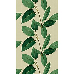 Galerie Wallcoverings Product Code WH45233M - Welcome Home Murals Wallpaper Collection - Cream, Yellow, Green Colours - Stylized Botanical Design Featuring Rich Foliage Design