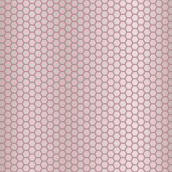 Galerie Wallcoverings Product Code 12630 - Ted Baker Fantasia Wallpaper Collection - Metallic Pink Colours -  