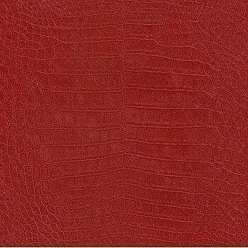 Galerie Wallcoverings Product Code 474114 - African Queen 2 Wallpaper Collection -   