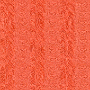Galerie Wallcoverings Product Code 482881 - Pop Skin Wallpaper Collection -   