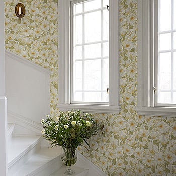 Galerie Wallcoverings Product Code S65111 - Sommarang Wallpaper Collection - Green Colours -  