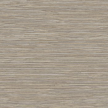 Galerie Wallcoverings Product Code TA25041 - Shades Of Colour Wallpaper Collection - grey/beige Colours -  